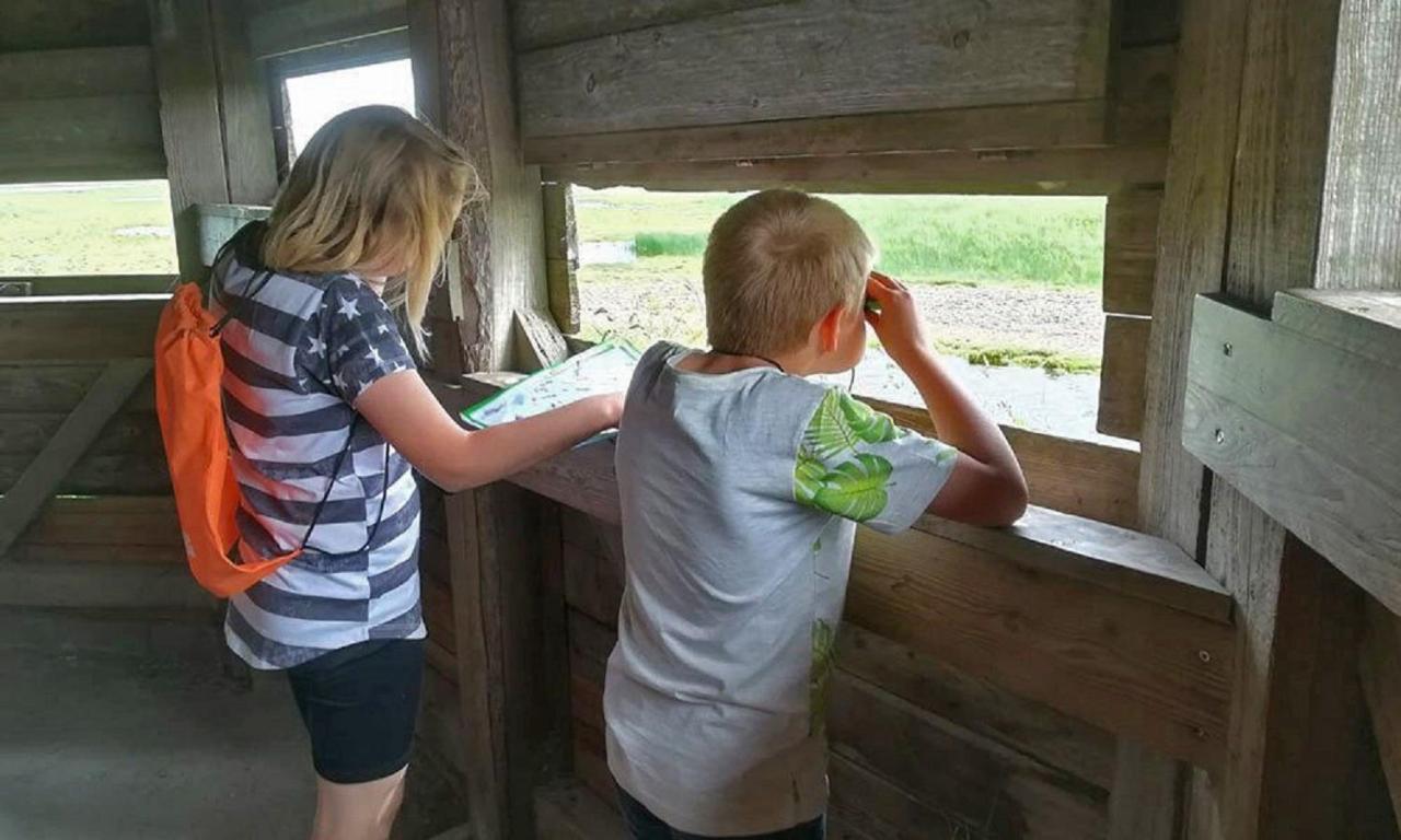 Chalet Op Camping Lauwersoog Met 3 Slaapkamers En Vaatwasser - Joycasa Bagian luar foto