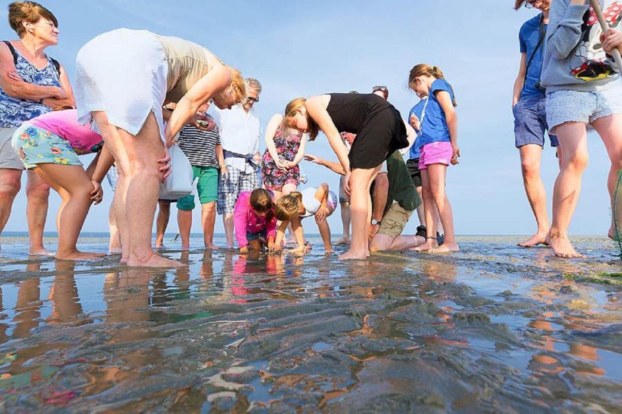 Chalet Op Camping Lauwersoog Met 3 Slaapkamers En Vaatwasser - Joycasa Bagian luar foto
