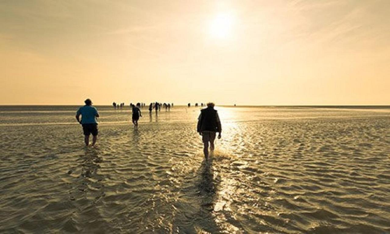 Chalet Op Camping Lauwersoog Met 3 Slaapkamers En Vaatwasser - Joycasa Bagian luar foto